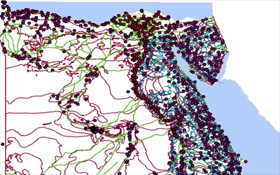 GIS Solutions